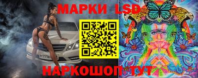 индика Нальчик